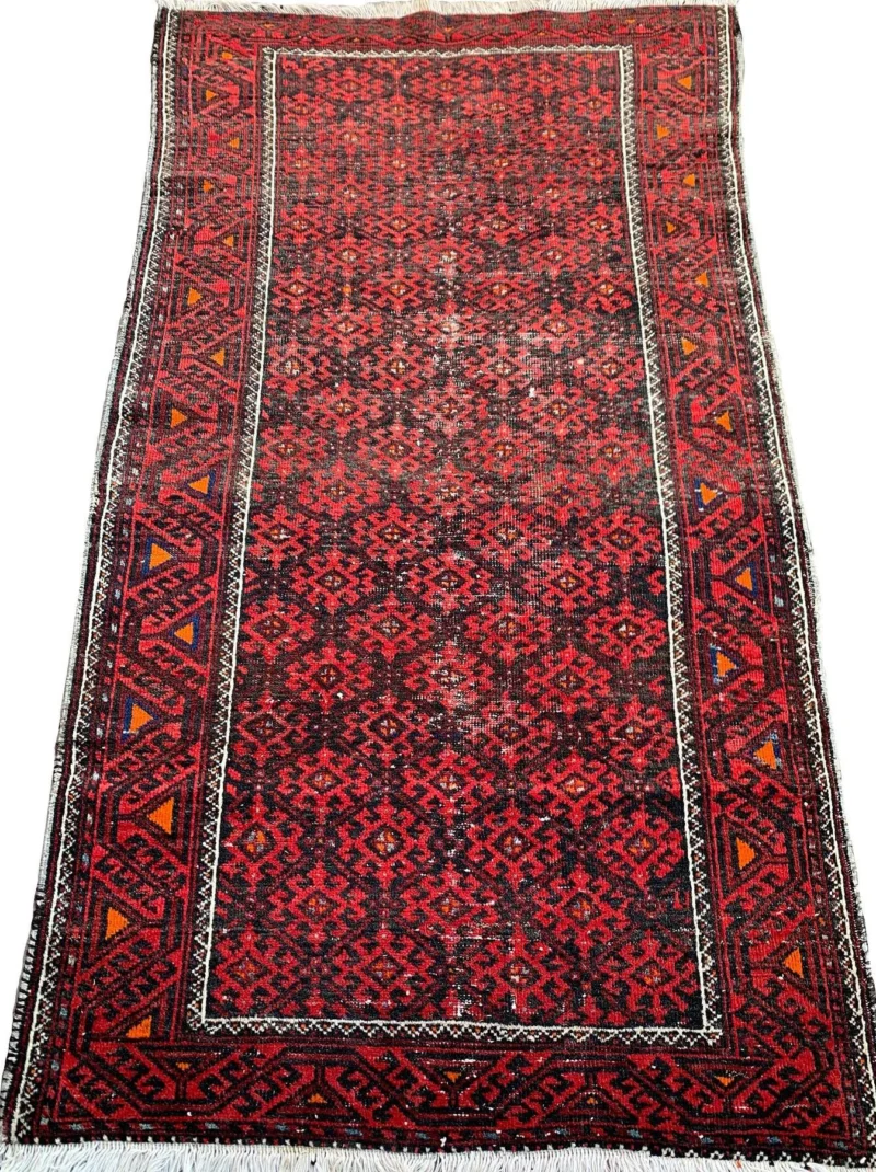 Ideal Red Runner